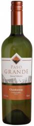 Paso Grande - Chardonnay 2019 (750ml) (750ml)